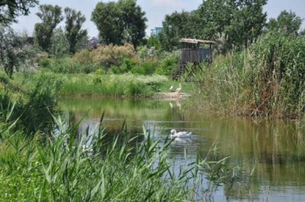 Microrezervaţia s-a pregătit pentru iarnă